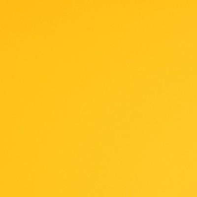 T5116 - Bouton d'or 2